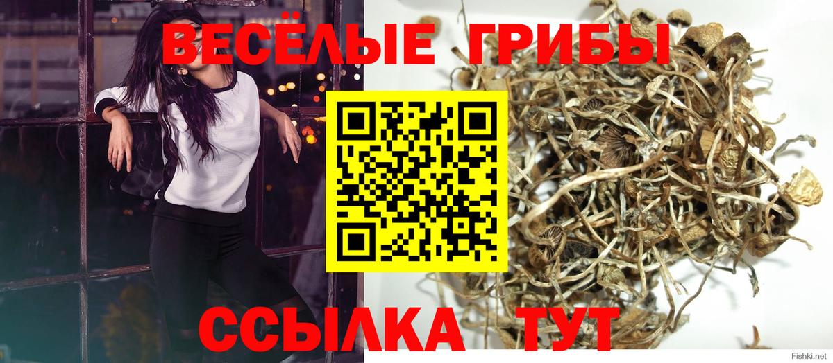 Псилоцибиновые грибы MAGIC MUSHROOMS  как найти   Шебекино  Вход с VPN  Галлюциногенные грибы GOLDEN TEACHER 
