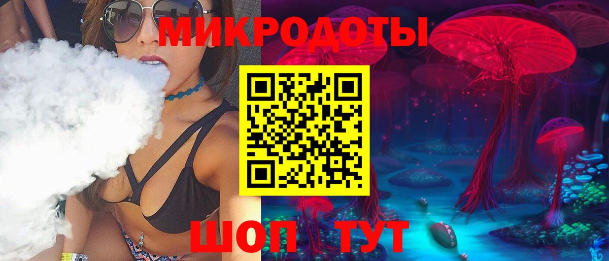 Галлюциногенные грибы Psilocybine cubensis Шебекино