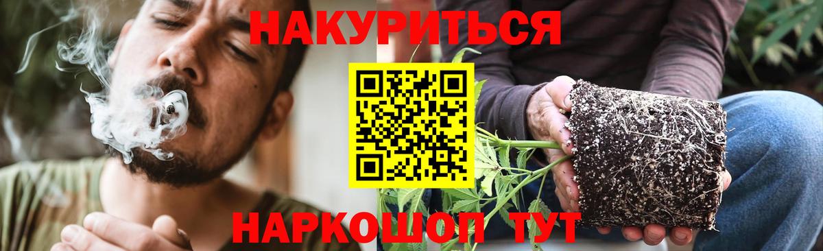 Канабис сатива Шебекино